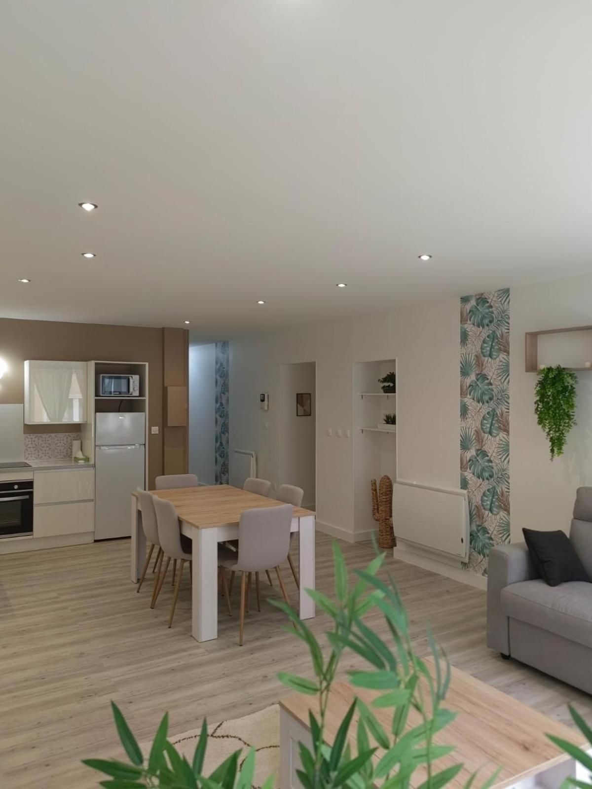 Bel Appartement Bord Du Rhone 瓦朗斯 外观 照片